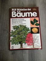 Ein dickes tolles Buch über Bäume Hessen - Battenberg Vorschau