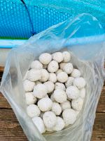 Filterballs Pool ersetzen 25 KG Sand Filter Balls Bälle Ball Essen - Altenessen Vorschau