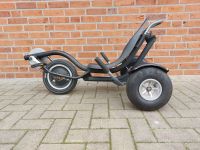Verkaufe Trike Nordrhein-Westfalen - Recke Vorschau
