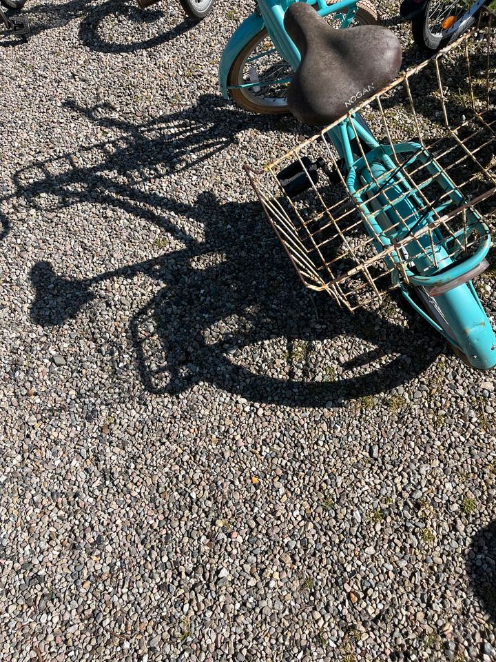 Kinderfahrrad Nogan 20 Zoll in Goldelund