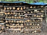 Frühbucherrabatt! Brennholz, ofenfertig aus unserem Mischwald Bayern - Dittenheim Vorschau