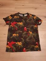 Tshirt H&M Papagei Gr. S Bochum - Bochum-Ost Vorschau