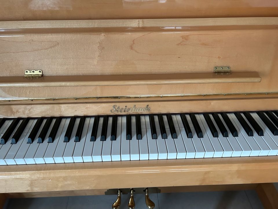 Steinbach Klavier mit Hocker 1.Hand wie neu Hochglanz in Etzbach