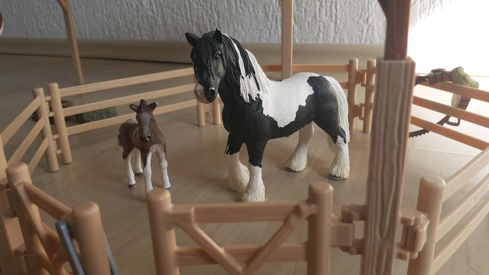 SCHLEICH Reitschule inkl. Zubehör in Obercunnersdorf