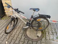 Fahrrad Univega Rheinland-Pfalz - Mainz Vorschau