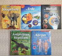 Erlebniswelt Wissen **5 Bücher** NEU Niedersachsen - Harsum Vorschau