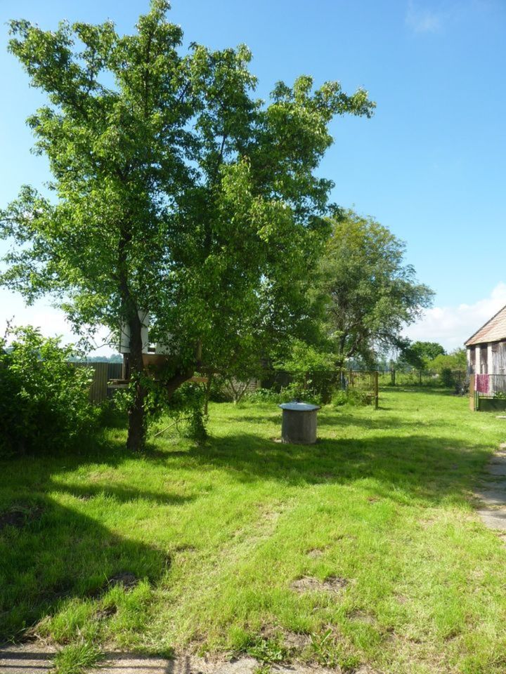 Landhaus in Südungarn zu vermieten in Schwanheide
