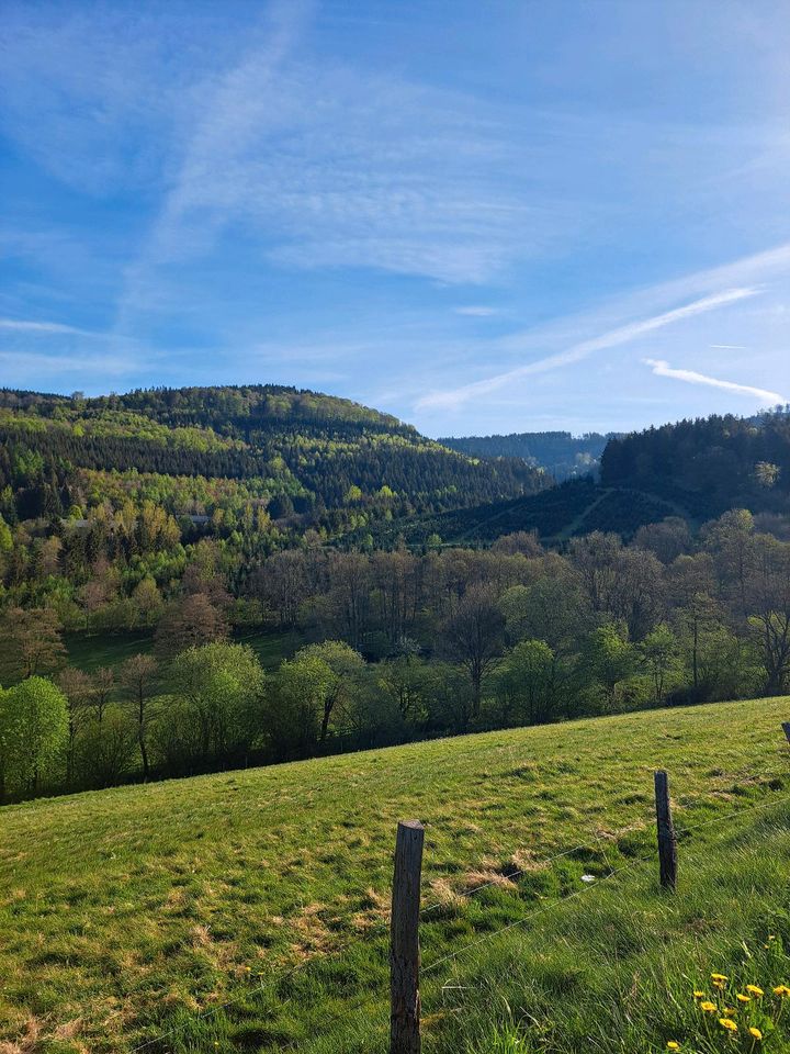 TOP Ferienwohnung in schöner Lage b.Winterberg/Sauerland,Urlaub in Winterberg