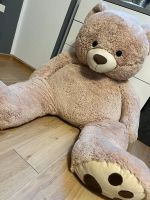 XXL Teddy zu verkaufen Nordrhein-Westfalen - Simmerath Vorschau