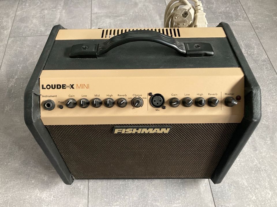 Fishman Loudbox Mini in Marburg