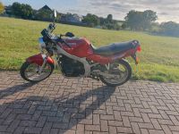 Suzuki GS 500 Sachsen-Anhalt - Gardelegen   Vorschau