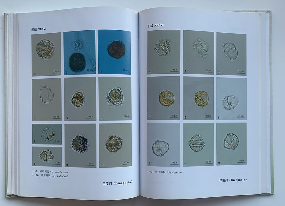 Freshwater Algae China Zhejiang Province Chen Qian Taxonomy Book in Isernhagen