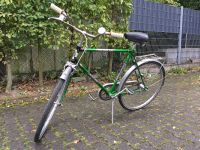 Falter Fahrrad Superstar Köln - Nippes Vorschau