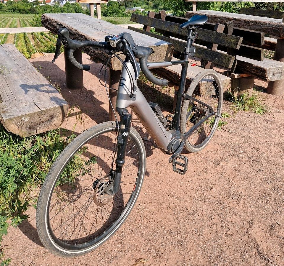 Cannondale Topstone Neo Carbon 3 Lefty  Gravel Rennrad XL in Deidesheim