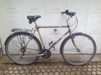 28" Herrenrad Cityrad Trekkingrad überholt für Größe 172-178 cm Saarbrücken-Halberg - Schafbrücke Vorschau