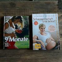 Bücherpaket: Schwangerschaft, Geburt, Baby, Gesundheit, Ernährung Ludwigslust - Landkreis - Warsow Vorschau