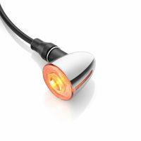 Rizoma LED Blinker / Rücklicht Iride S FR165CH verchromt hinten! Schwerin - Wüstmark Vorschau