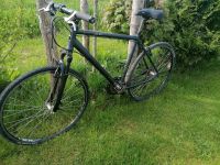 STAIGER Idaho superlight Crossbike Herren Bayern - Weil a. Lech Vorschau