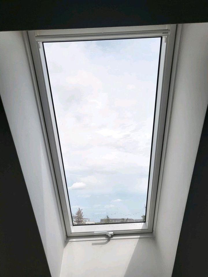 Dachfenster *Austausch *Einbau *Velux * in Berlin