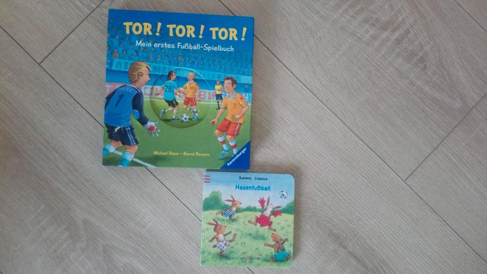 Bücher Piraten Autos Baustelle Fußball  Thomas die Lokomotive in Preußisch Oldendorf