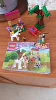 Lego Friends 41003 Olivias Fohlen Rostock - Gross Klein Vorschau