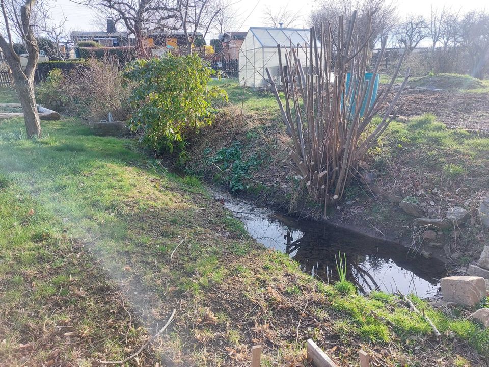 Kleingarten in Reinholdshein abzugeben in Dippoldiswalde