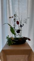 Ikebana Igel RAR Baden-Württemberg - Heidelberg Vorschau