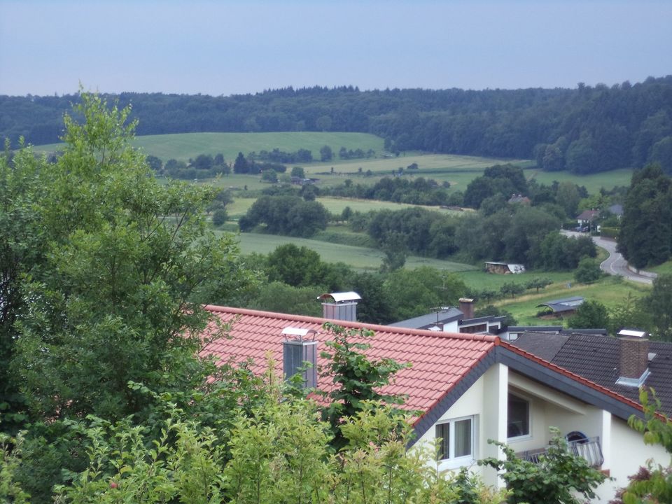 Neckargemünd-Dilsberg, 3,5 ZKB, ca. 115 m², Dachgeschoss, Südbalk in Neckargemünd