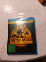 Blu-Ray Jurassic World Bergedorf - Hamburg Lohbrügge Vorschau