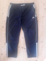 Adidas retro Jogginghose Nylon gr L /6 90's 90er dunkelblau old Baden-Württemberg - Wilhelmsfeld Vorschau