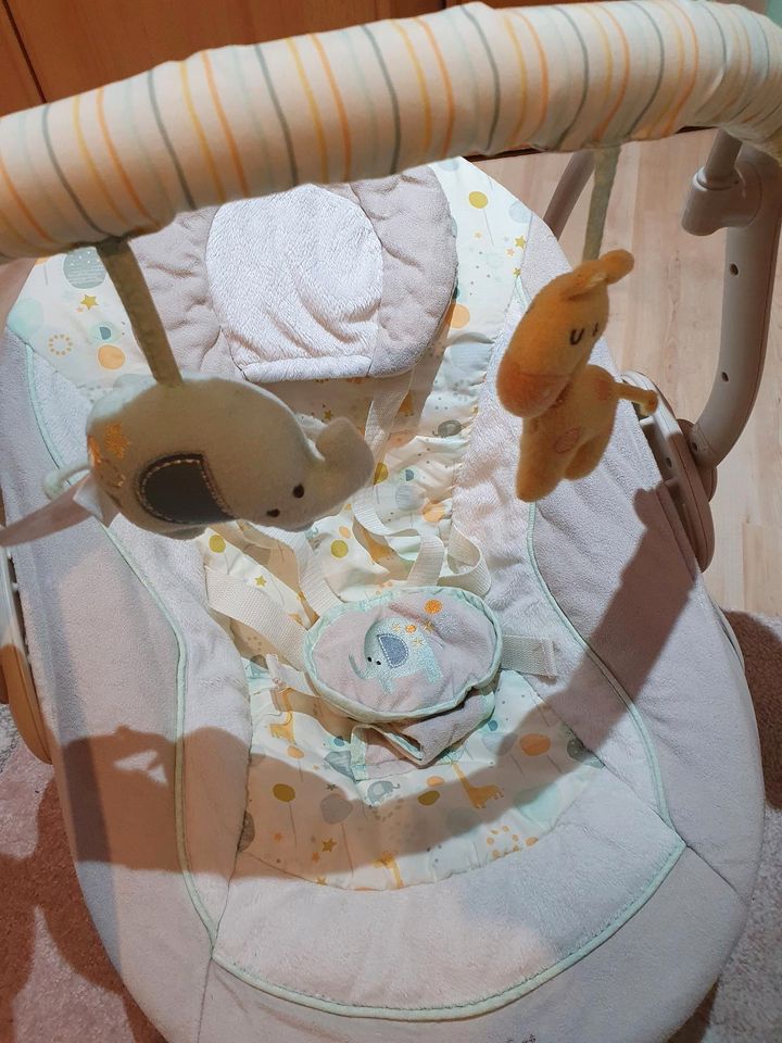 Elektrische Babywippe in Tann