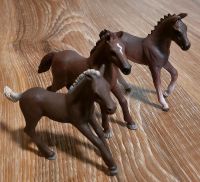 Schleich Set 3 Fohlen braun Parchim - Landkreis - Parchim Vorschau