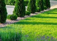 Gartenpflege Rasen mähen Hecke schneiden auf Fehmarn Kreis Ostholstein - Heiligenhafen  Vorschau