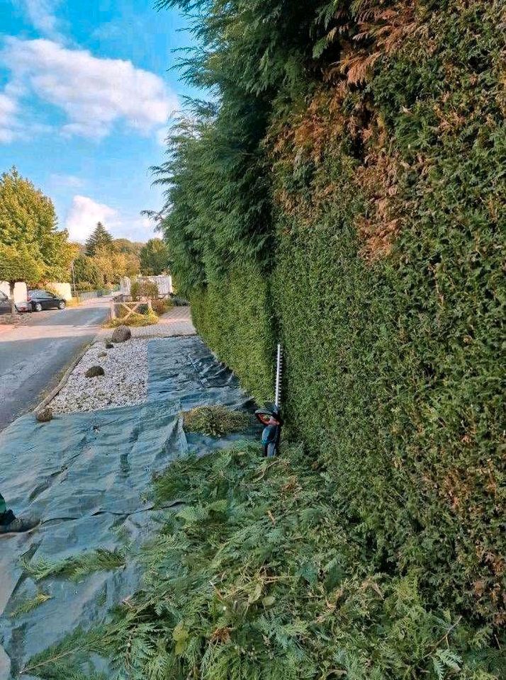 Gartenarbeiten> Heckenschnitt in Ibbenbüren