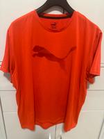 Puma, Herren Shirt, Größe XL Nordrhein-Westfalen - Minden Vorschau