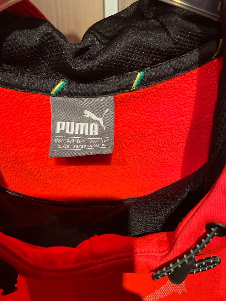 Puma Usain Bolt Evostripe Logo Print Hoodie Gr. XL in Bayern - Kitzingen |  eBay Kleinanzeigen ist jetzt Kleinanzeigen