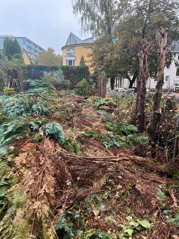 Gartenarbeit/ Gartenpflege/ Heckenschnitt in Baesweiler