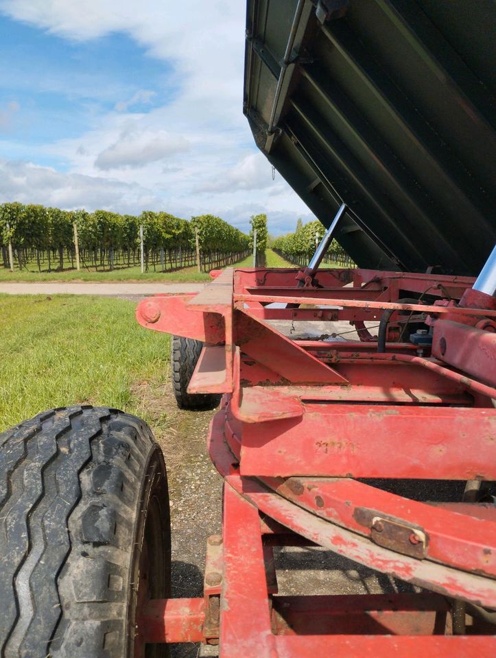 Welger 5,7t Zweiseitenkipper  Kipper in Knöringen