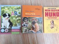 3 Bücher über Welpen Erziehung Bayern - Eggstätt Vorschau