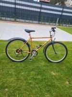 MTB WHEELER 2800 Zoll 26 Rheinland-Pfalz - Langenlonsheim Vorschau