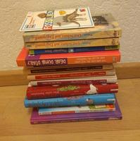 Bücher / Kinderbücher Schleswig-Holstein - Flensburg Vorschau