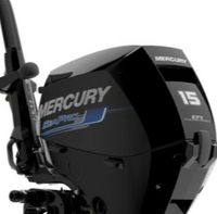 Mercury F15MLHSP EFI 15PS 4-T, Langschaft, SeaPro Modell Niedersachsen - Apen Vorschau