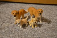 Schleich 4 Hunde Golden Retriever - Welpen, Familie Niedersachsen - Winsen (Luhe) Vorschau