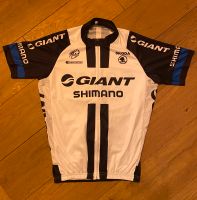 Giant Shimano Rennrad Trikot Größe L Sachsen - Lunzenau Vorschau