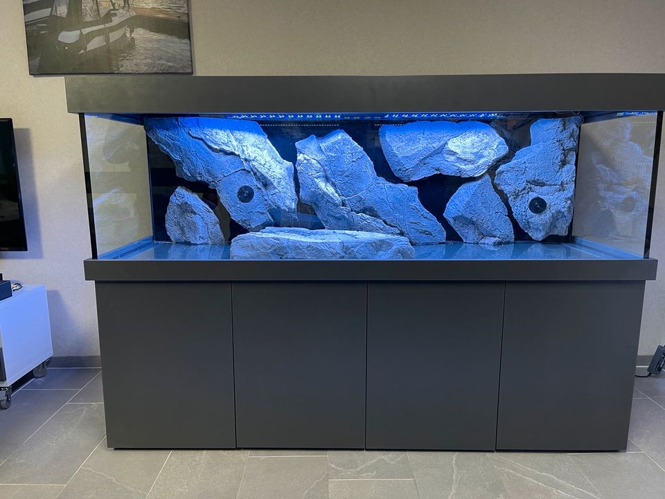 Aquarium Kombination 200 x 60 x 60cm 720l neu in diversen Dekoren in Dortmund