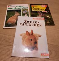 3x Zwergkaninchenbücher Niedersachsen - Peine Vorschau