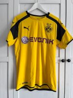Borussia Dortmund Champions League Home Heimtrikot 2016/17 gr.M Nordrhein-Westfalen - Selm Vorschau