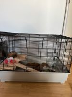 Hamsterkäfig mit kleine transportbox Bayern - Eichenau Vorschau