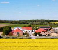 Große Box mit Fenster Bad Doberan - Landkreis - Satow Vorschau