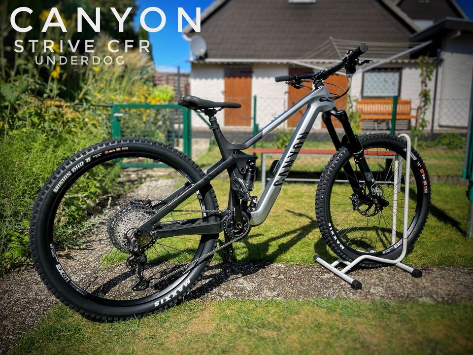 Canyon Strive CFR Underdog (L) MTB Enduro Downhill Fully Carbon in Detmold